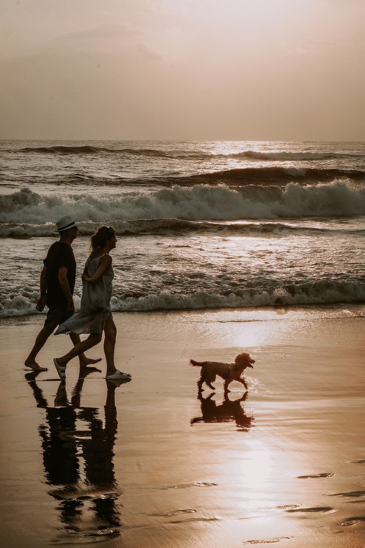 Goa Nightlife